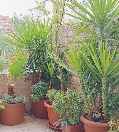 Apartamento Principe Caces Εξωτερικό φωτογραφία
