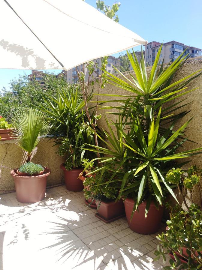 Apartamento Principe Caces Εξωτερικό φωτογραφία
