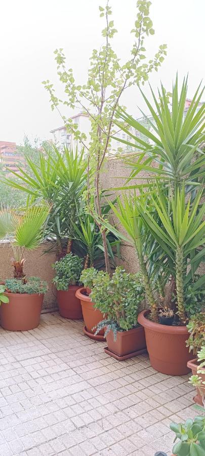 Apartamento Principe Caces Εξωτερικό φωτογραφία
