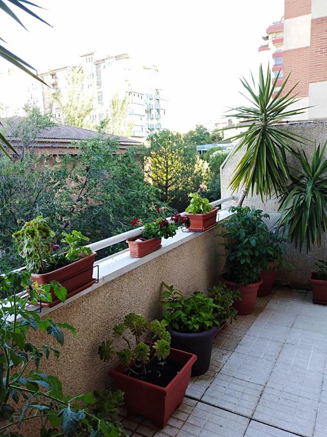 Apartamento Principe Caces Εξωτερικό φωτογραφία